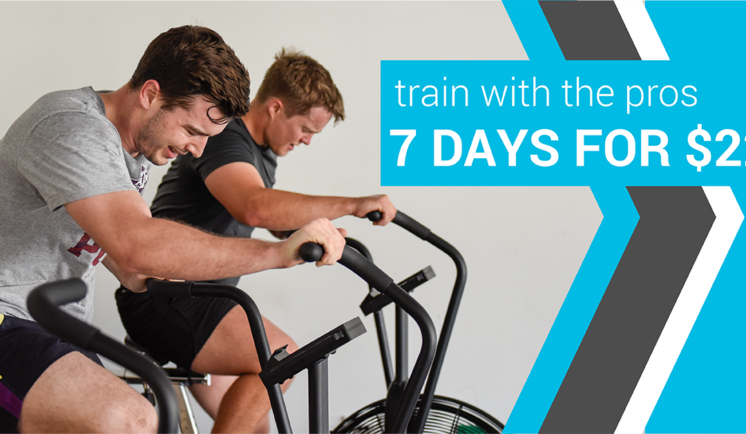 Hammer Allsorts: 7 days for $22
