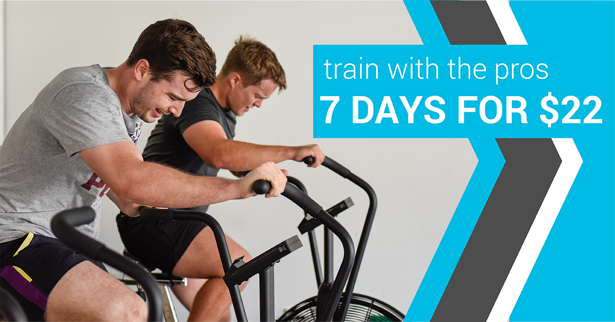Hammer Allsorts: 7 days for $22
