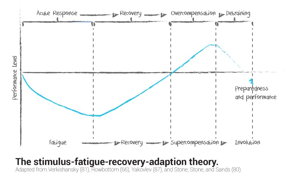 Stimulus Fatigue Theory