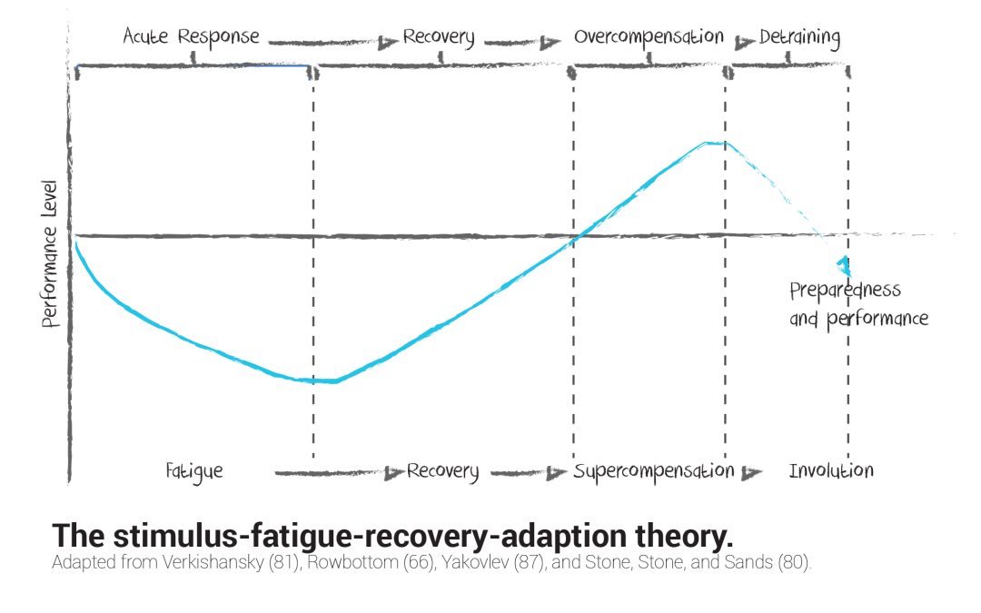 Case Study: Why and how we periodise