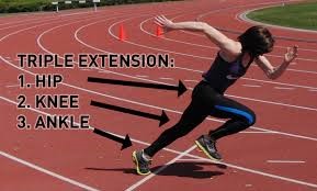triple extension