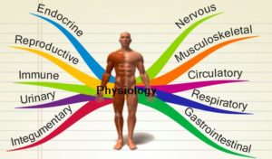 physiology