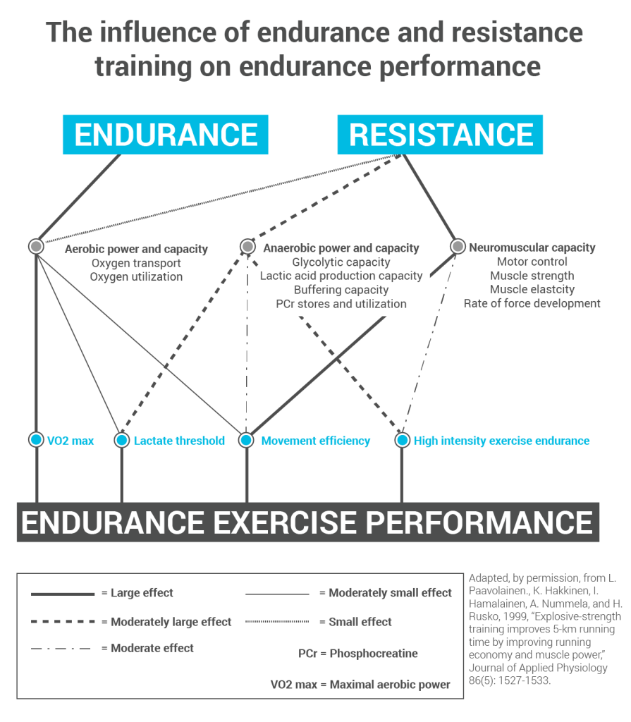the-influence-of-endurance-and-resistance-training-on-endurance-performance